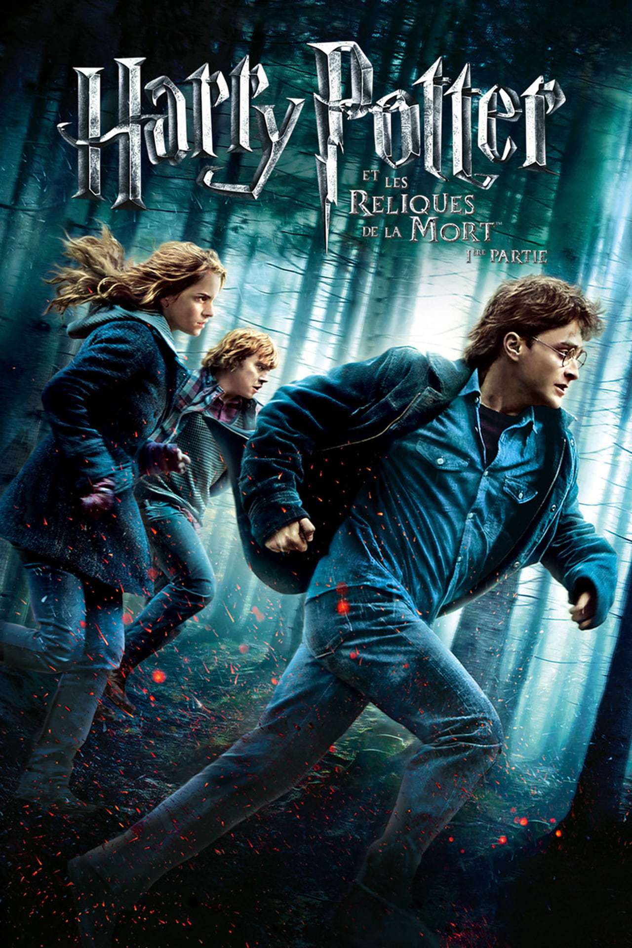 Affiche du septième film (première partie), Harry Potter et les Reliques de la Mort.