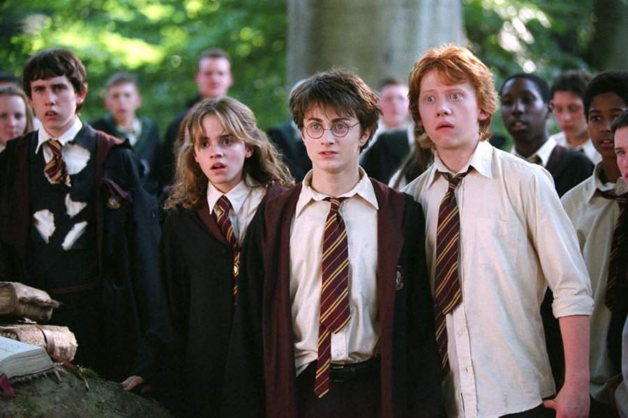 Harry Potter, Ron Weasley, Hermione Granger et le reste de leur classe qui font face à la caméra, avec un regard horrifié.